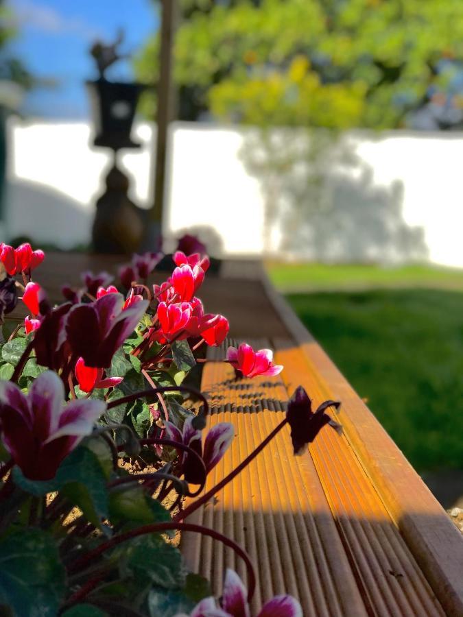 Hotel Onehunga Garden Tinyhouse With Parking Auckland Exterior foto